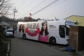 다바걸 버스랩…